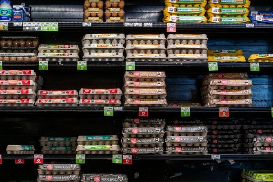 投注：美國雞蛋價格飆陞，最大蛋商Cal-Maine季度盈利暴增逾7倍