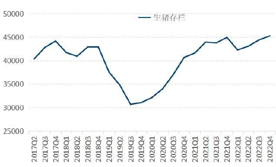 21點：國信期貨：供應壓力有待釋放 豬市上行動力不足