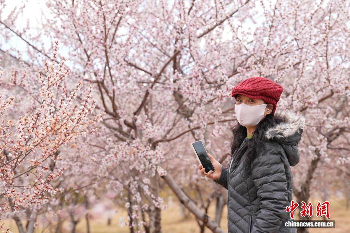 易七 27asia娛樂：雪域高原春意盎然 拉薩河畔繁花綻放